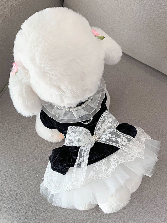 Dog Clothes Bichon Pet Black Teddy Cat Princess Lace Cute Spring & Fall Schnauzer Traction JK Skirt